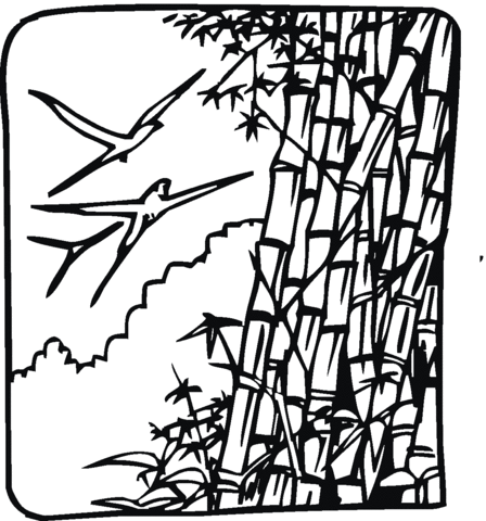 Bamboo and Birds Coloring page