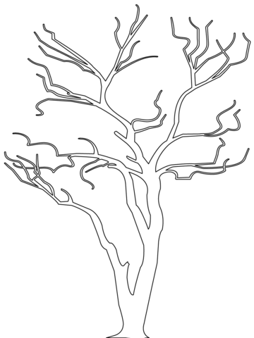Bare Tree Outline Coloring page
