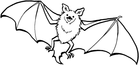 Cute Bat Coloring page