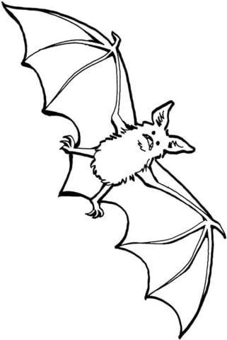 Bat 25 Coloring page