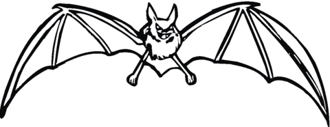 Bat 3 Coloring page