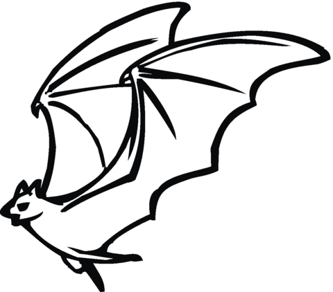 Flying bat  Coloring page