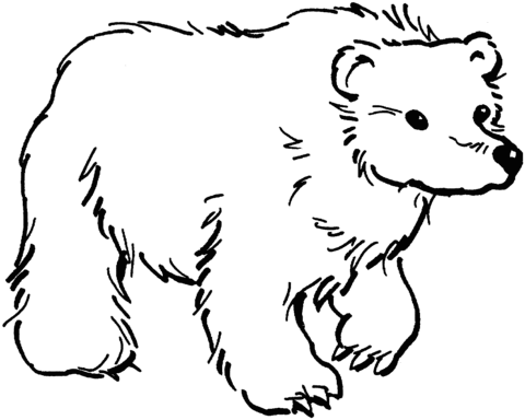 Brown Bear 11 Coloring page