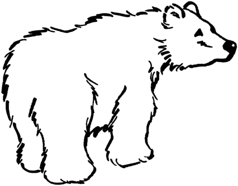 Brown Bear 12 Coloring page