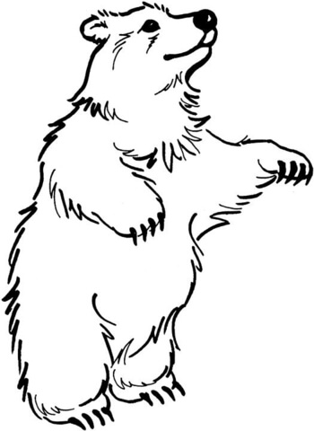 Brown Bear 7 Coloring page