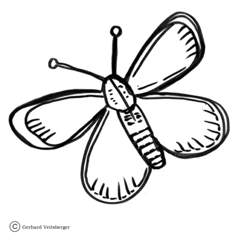 Beautiful Butterfly Coloring page