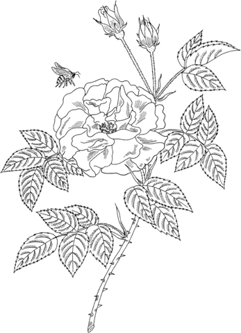 Bee On A Flower Coloring page