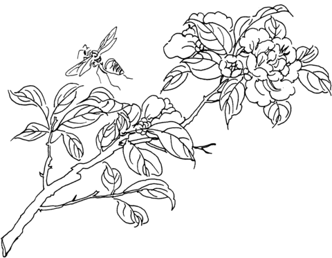 Bee On A Tree Coloring page