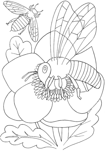 Bee On a Flower Coloring page