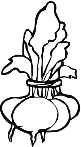 Beetroot 1 Coloring page