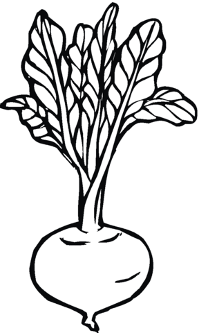 Beetroot 3 Coloring page