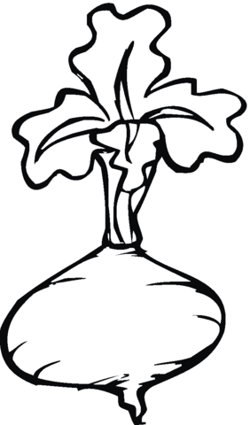 Beetroot 4 Coloring page