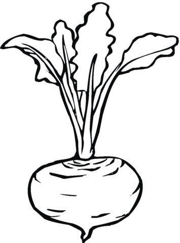 Beetroot 7 Coloring page