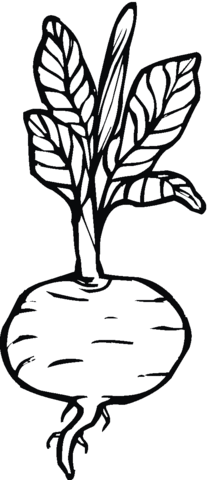 Beetroot 8 Coloring page