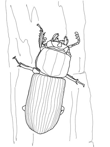 Bess Beetle Coloring page