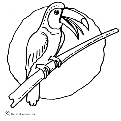 Toucan Coloring page