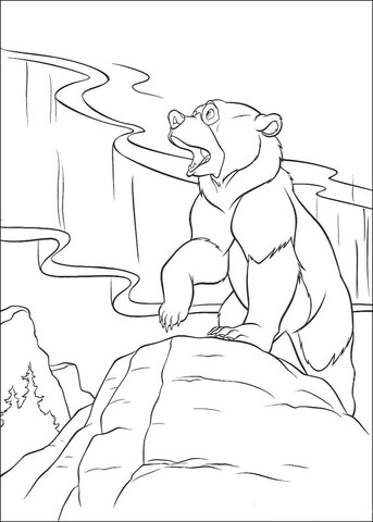 Bear on the mountain Coloring page