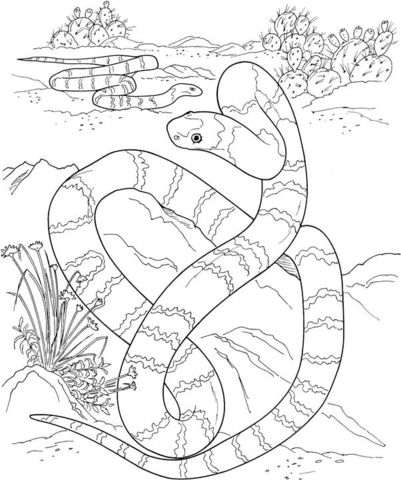 Big Long Snake In A Desert Coloring page