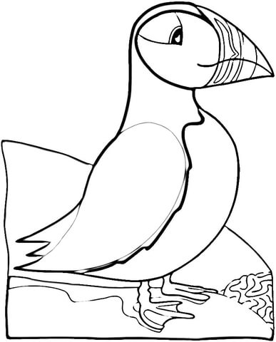 Bird Puffin  Coloring page