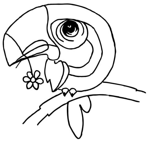 Cartoon Toucan with a Flower in the Beak  Coloring page