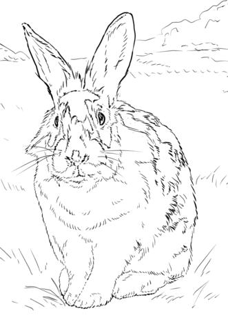 Black and white rabbit Coloring page