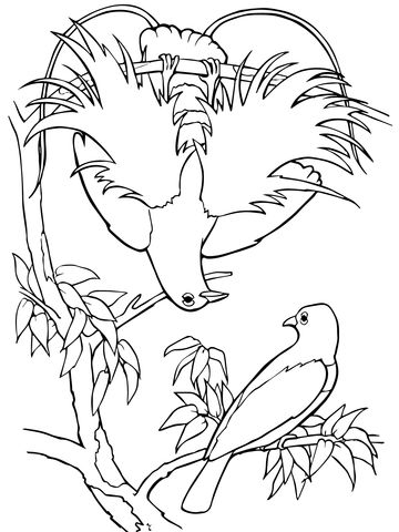 Blue Bird-of-Paradise Coloring page