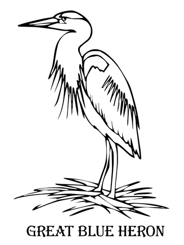 Blue Heron Coloring page