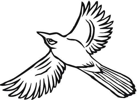 Flying Jay Coloring page