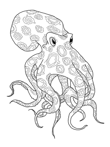Blue Ringed Octopus Coloring page