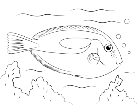 Blue Tang Coloring page