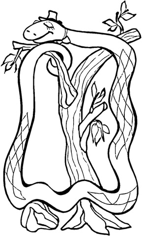 Boa Constrictor Coloring page