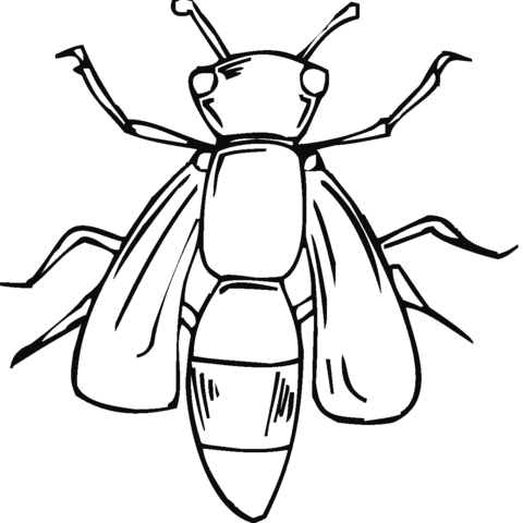 Body Of Bee Coloring page