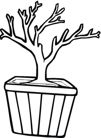 Bonsai in A Pot Coloring page