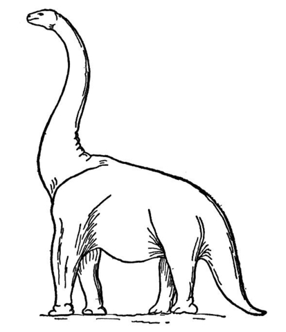 Brachiosaurus 2 Coloring page