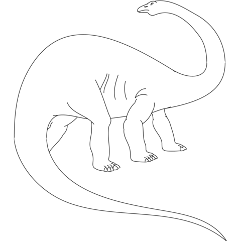 Apatosaurus Jurassic Dinosaur Coloring page