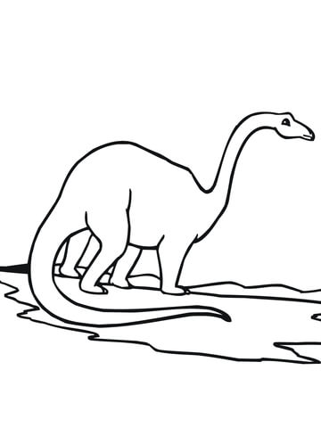 Brontosaurus Dino Coloring page