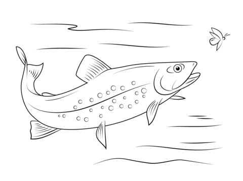 Brook Trout Coloring page