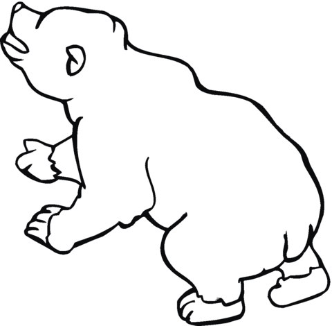 Brown Bear 10 Coloring page