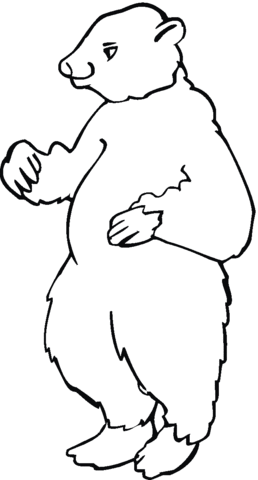 Brown Bear 9 Coloring page