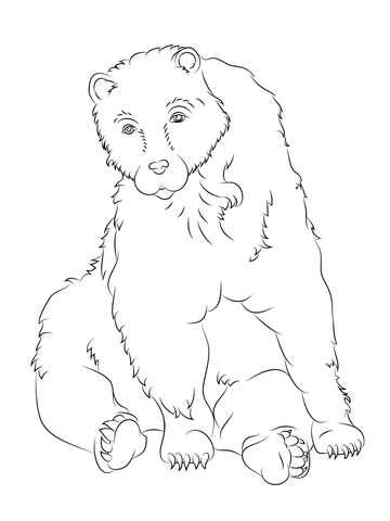 Sitting Brown Bear Coloring page