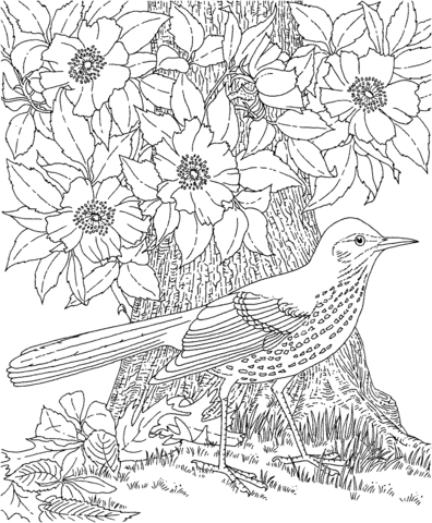 Brown Thrasher and Cherokee Rose Georgia bird and flower Coloring page