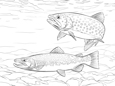 Brown Trout Coloring page
