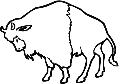 Bison Coloring page