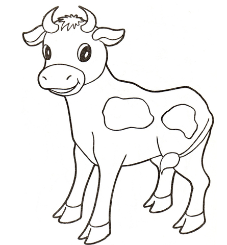 Baby cow Coloring page