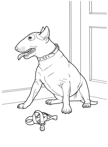 Bull Terrier  Coloring page