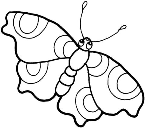 Butterfly 1 Coloring page