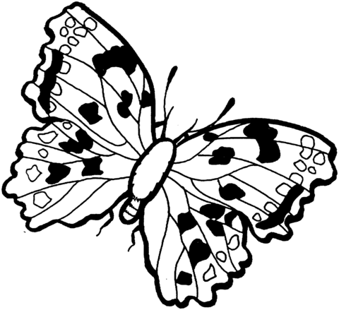 Butterfly 10 Coloring page