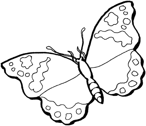 Butterfly 12 Coloring page