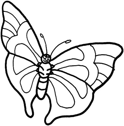 Butterfly 5 Coloring page