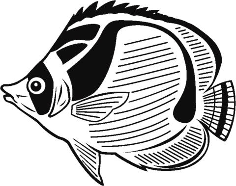Butterfly Fish Coloring page